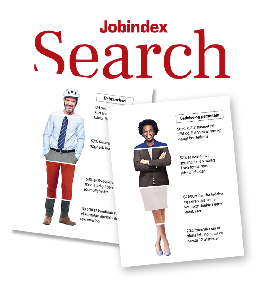 Jobindex Search
