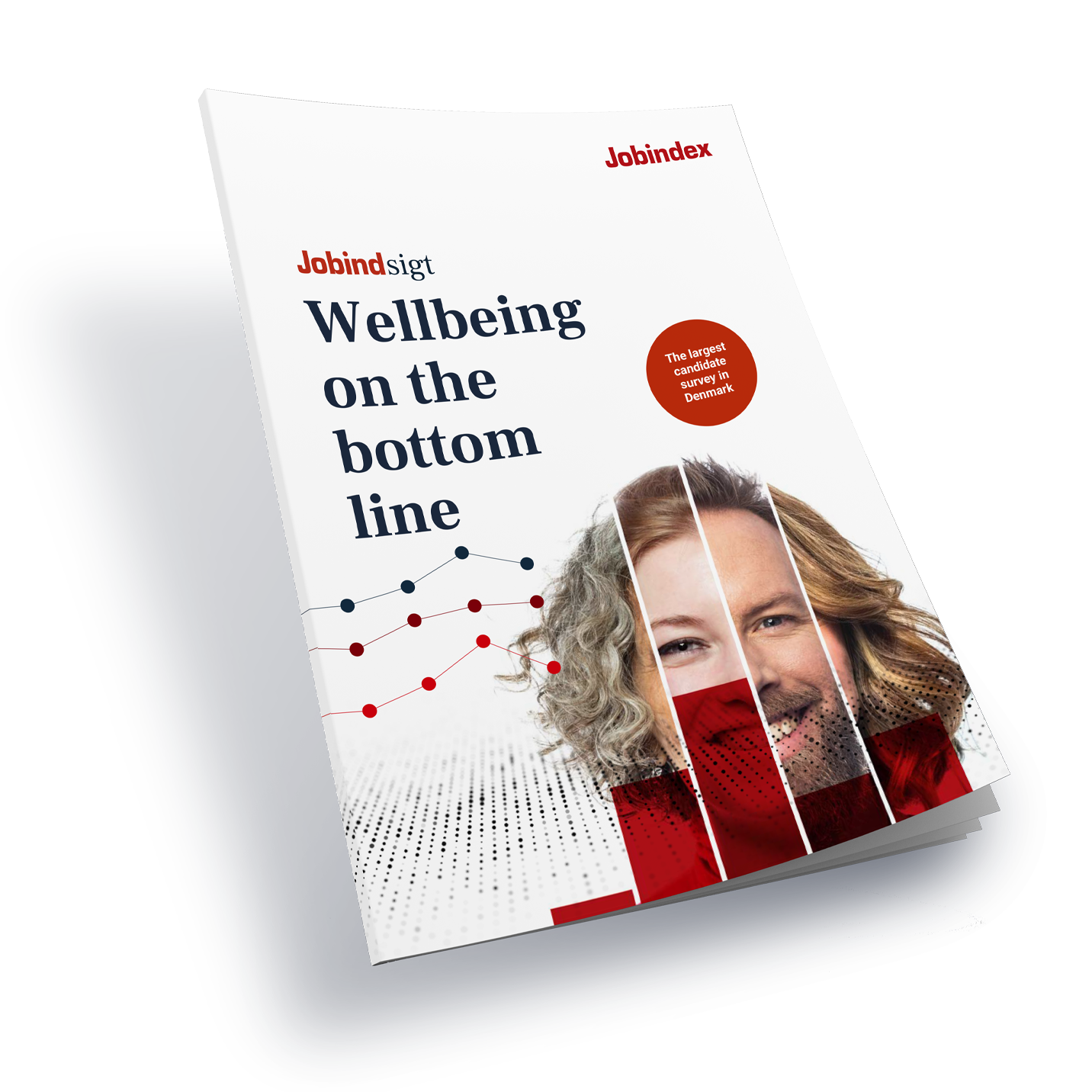 Rapporten Trivsel på bundlinjen – Jobindsigt