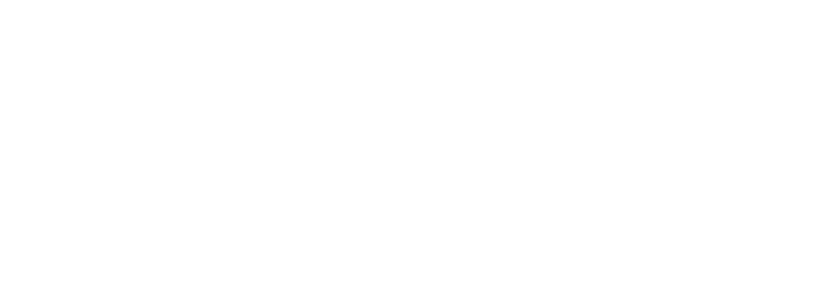 SAF Partners - logo